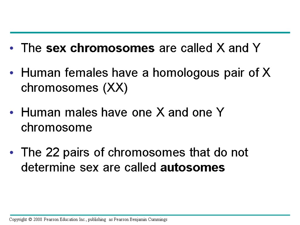 The sex chromosomes are called X and Y Human females have a homologous pair